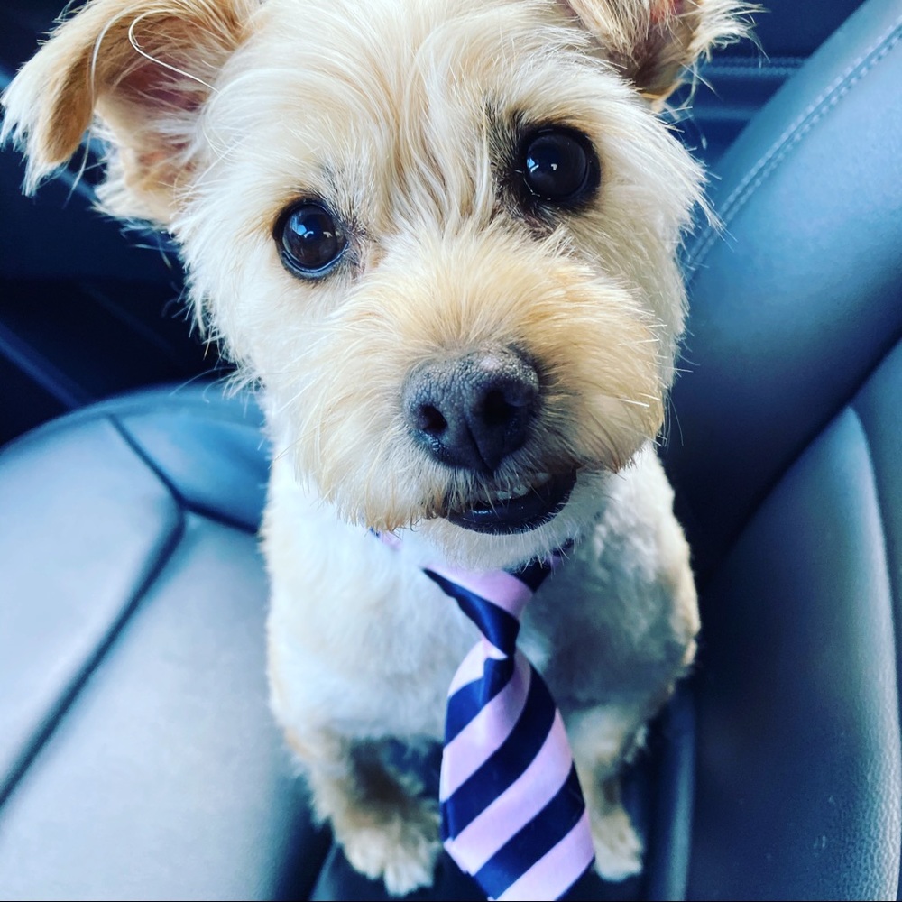 Meet your Posher, Roberta